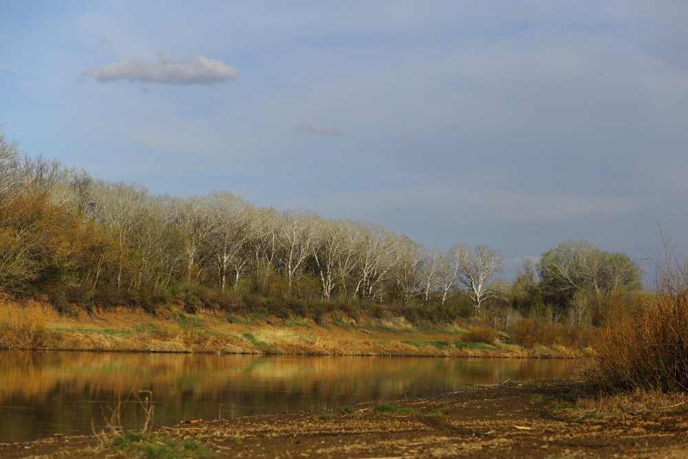 Colored spring Весенняя раскраска