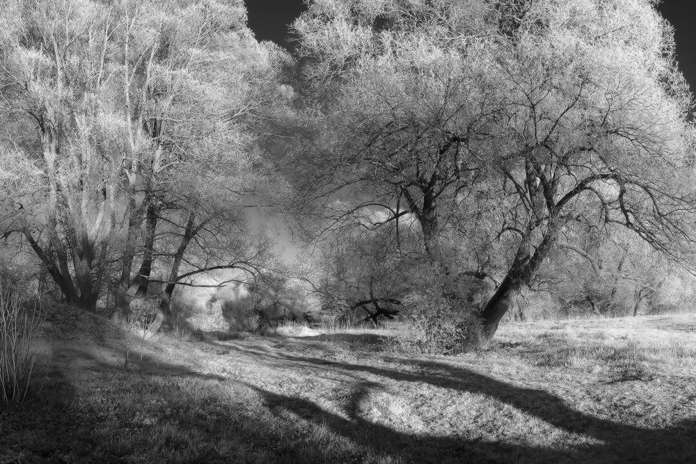 Photograph by Алексей Ретюнских