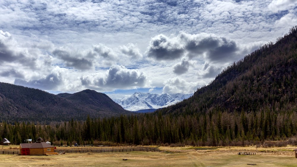 Вид на Северо-Чуйский хребет