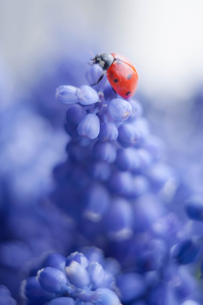 Photograph by Олеся