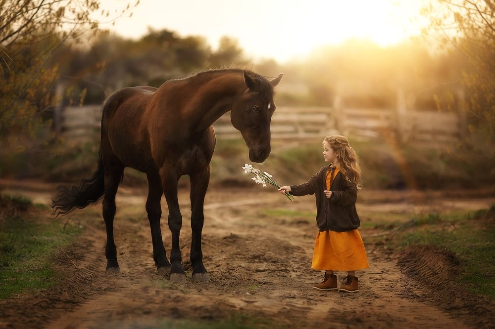 Фотография автора Журавель Саша