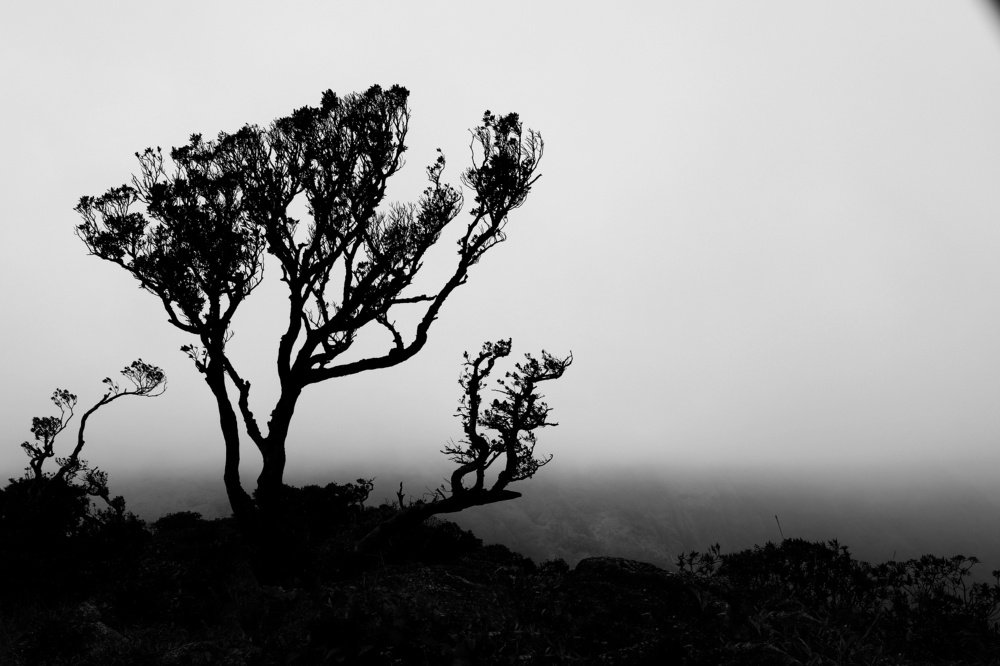 At the peak