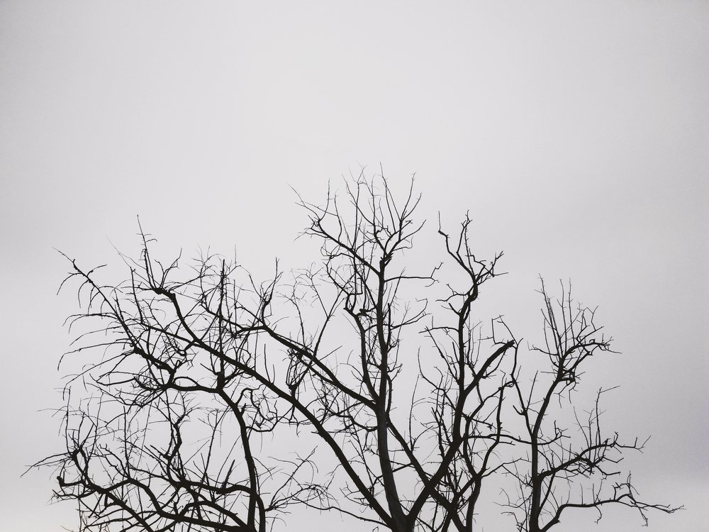 Сплетения Судеб