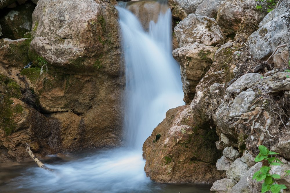 Photograph by Анна Чеснокова