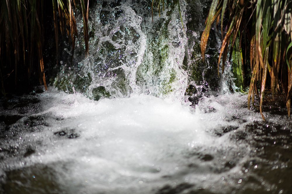 Photograph by Анна Чеснокова