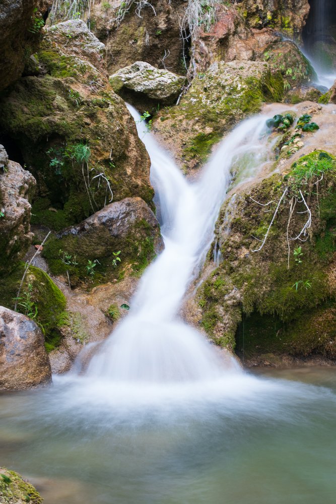 Photograph by Анна Чеснокова