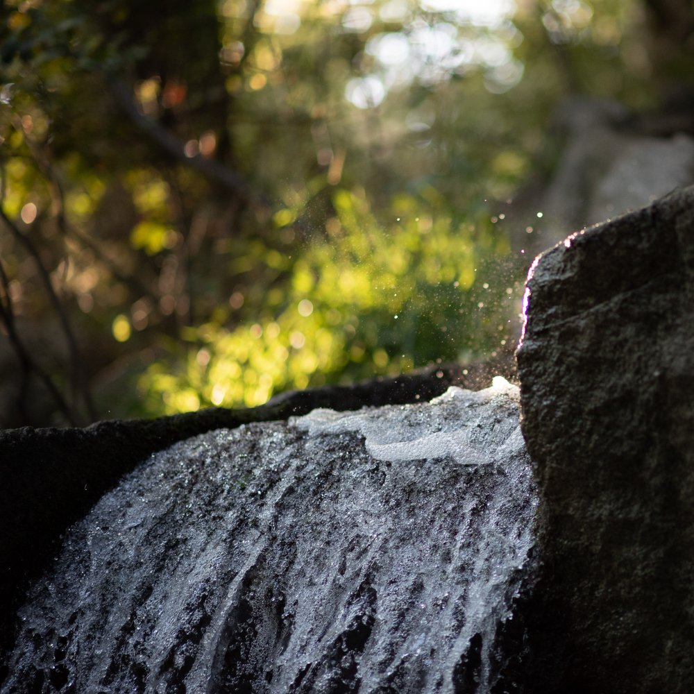 Photograph by Анна Чеснокова