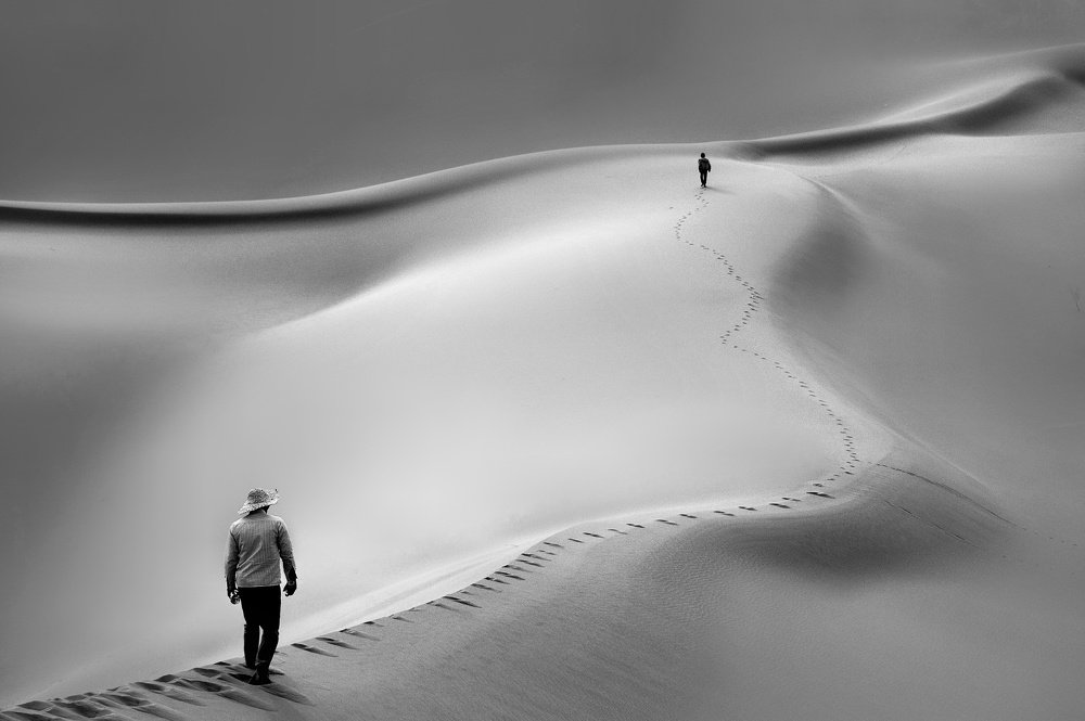 Photograph by Mina Yazdani rad