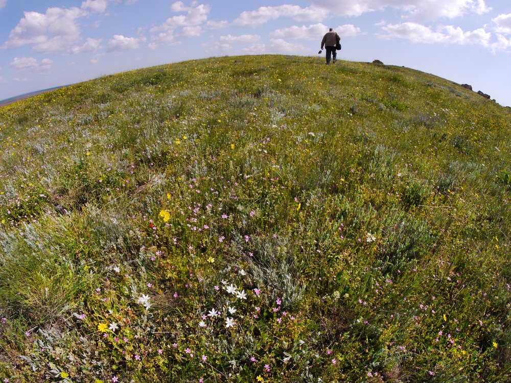 В степном Крыму.