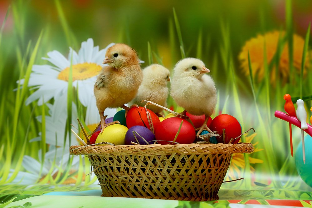 Пасхальное трио