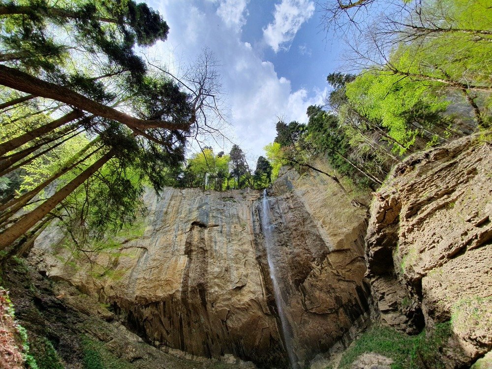 Капустинский