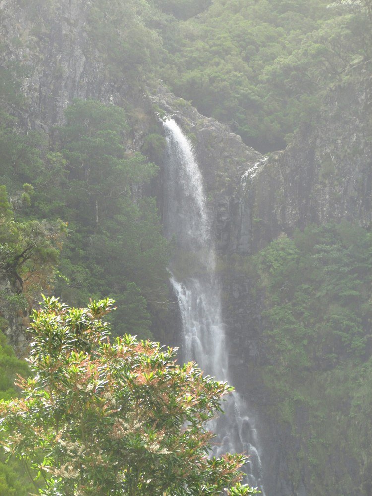 Левады. Мадейра