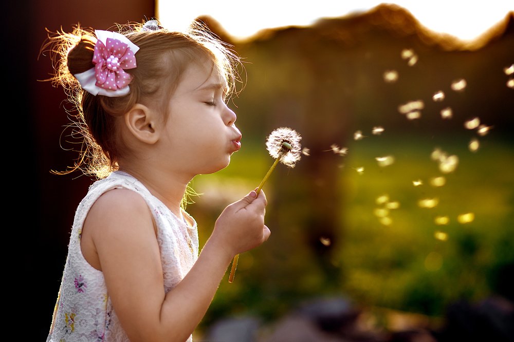 Photograph by Дарья Терещенко