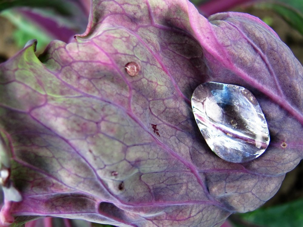 Бриллиант чистой воды