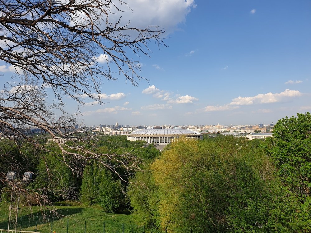 Моя Москва