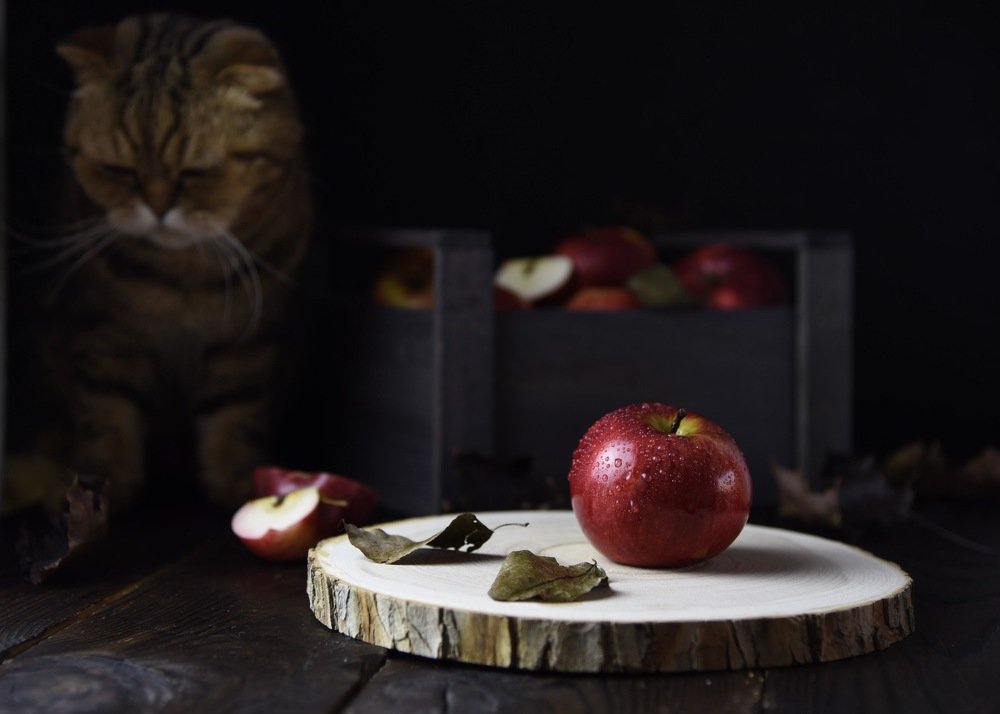 Photograph by Прокошева Екатерина