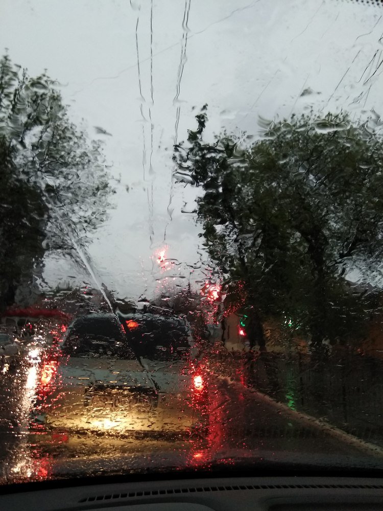 Непогода нынче в моде