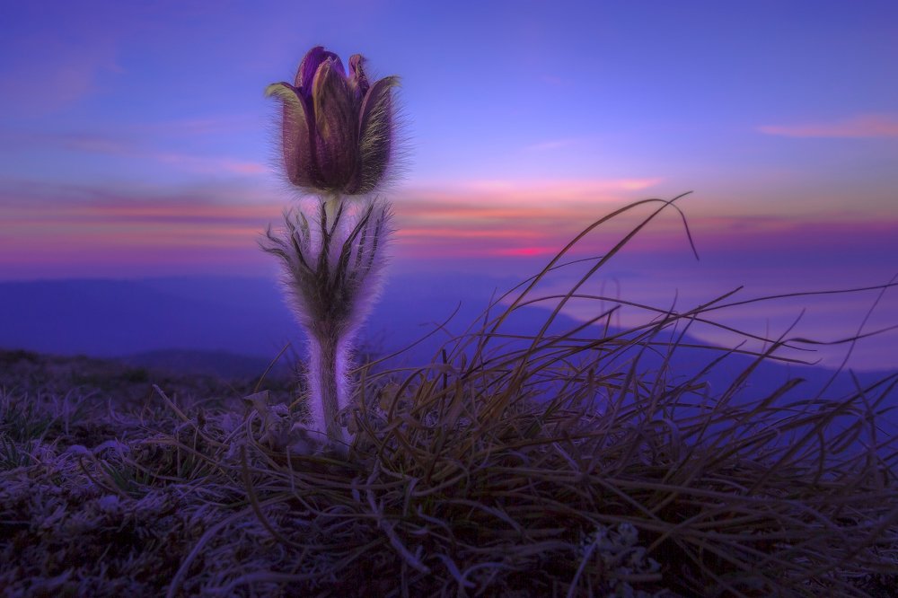 Фотография автора Евгений Ерохин