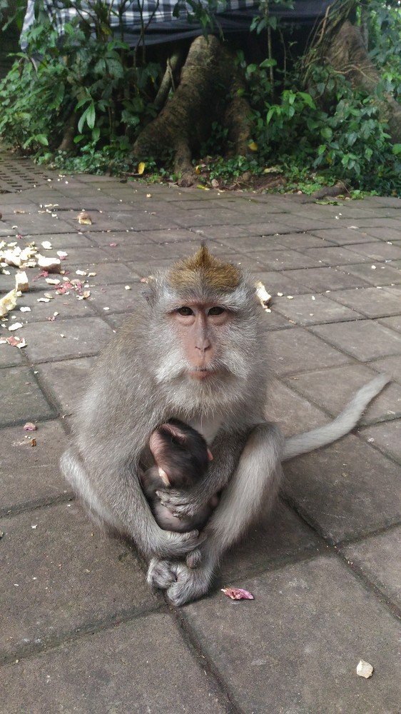 The Mother's eyes