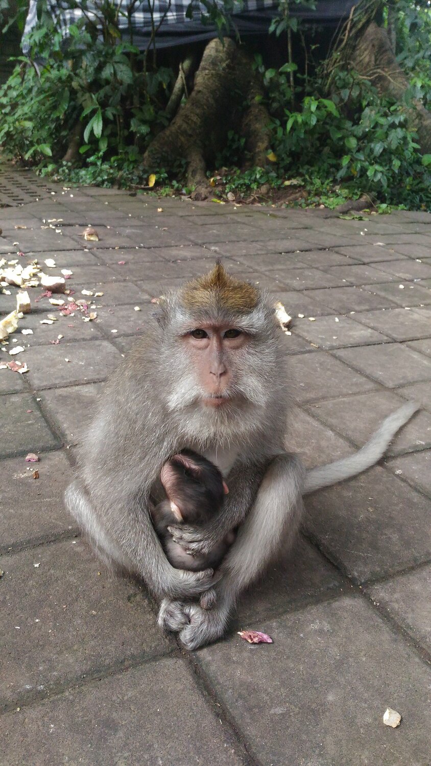 The Mother's eyes