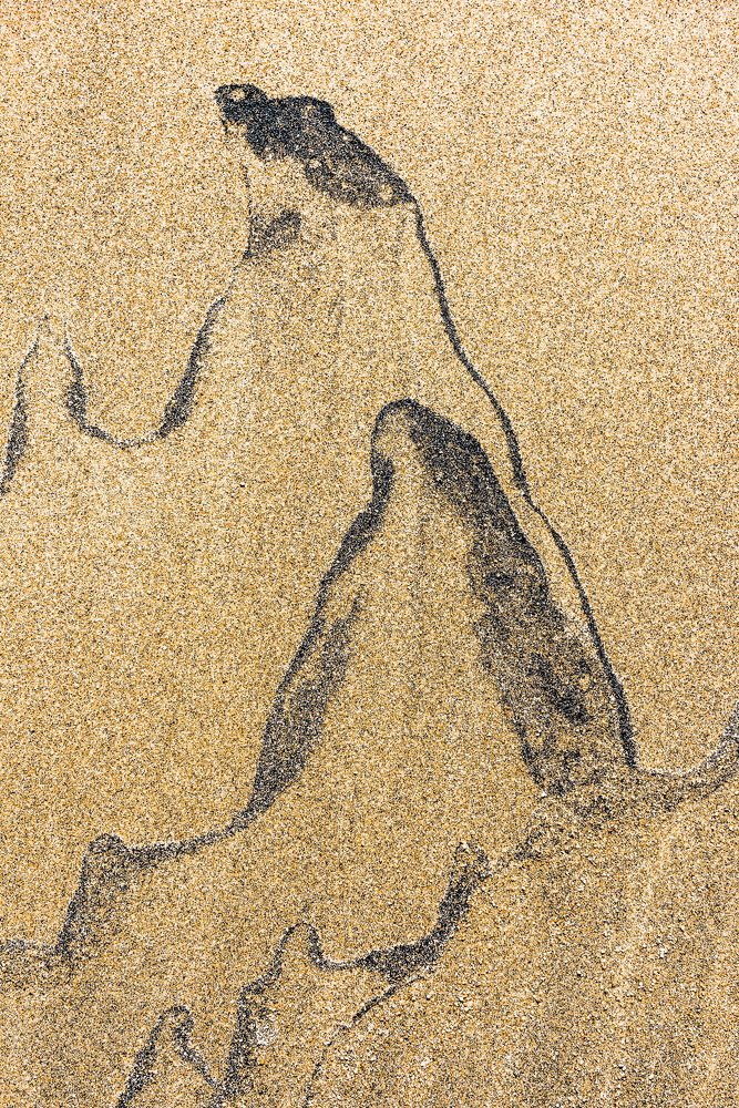 Байкал рисует на песке