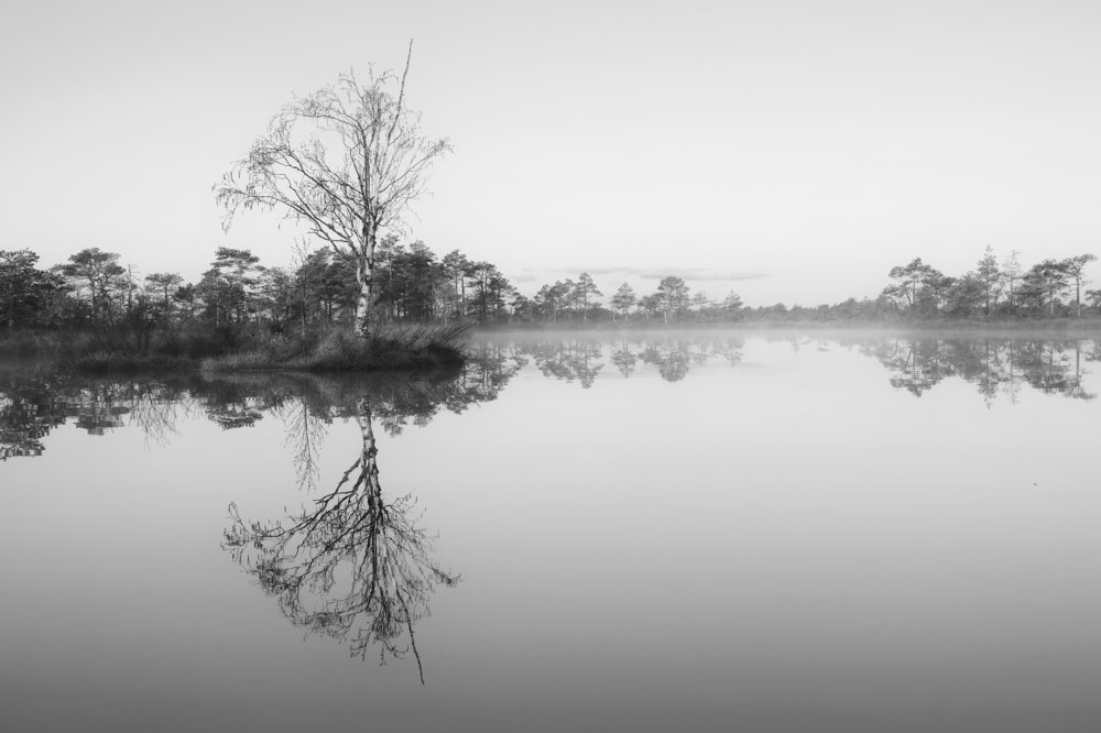 black&white world / чёрно-белый мир
