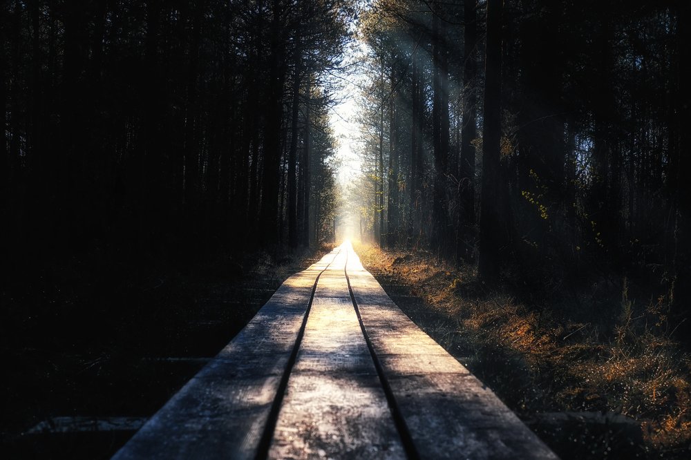 Road to light / дорога к свету