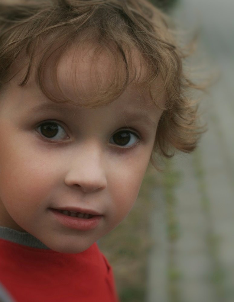 Photograph by Людмила М