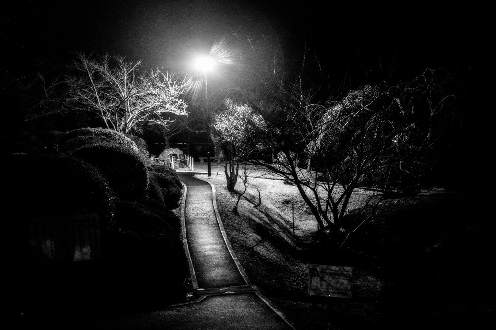 Park Hiyoriyama at night