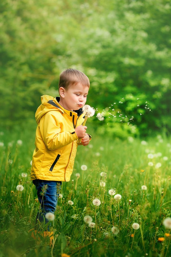 Фотография автора Евгения Ружанская