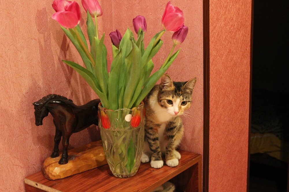 Скоро 8 марта.