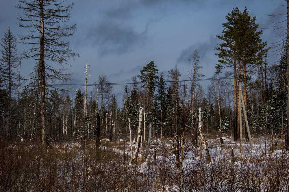 Фотография автора Диана