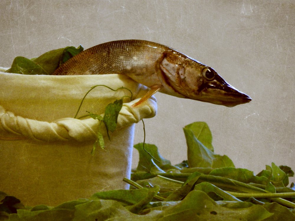 По щучьему велению, по моему хотению...