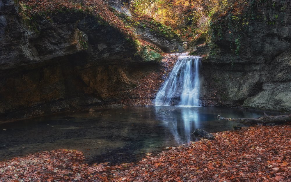 На ноябрьском Мишоко...