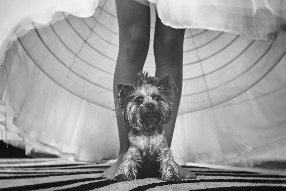 Photograph by MVO (Марк Орлов)