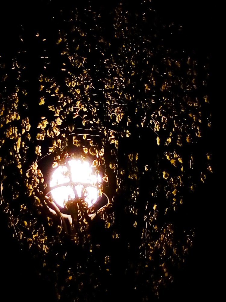 Фотография автора Светлана Дунаева