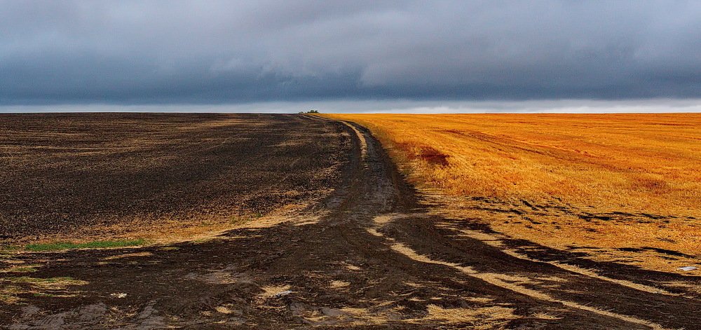 Осенние поле..