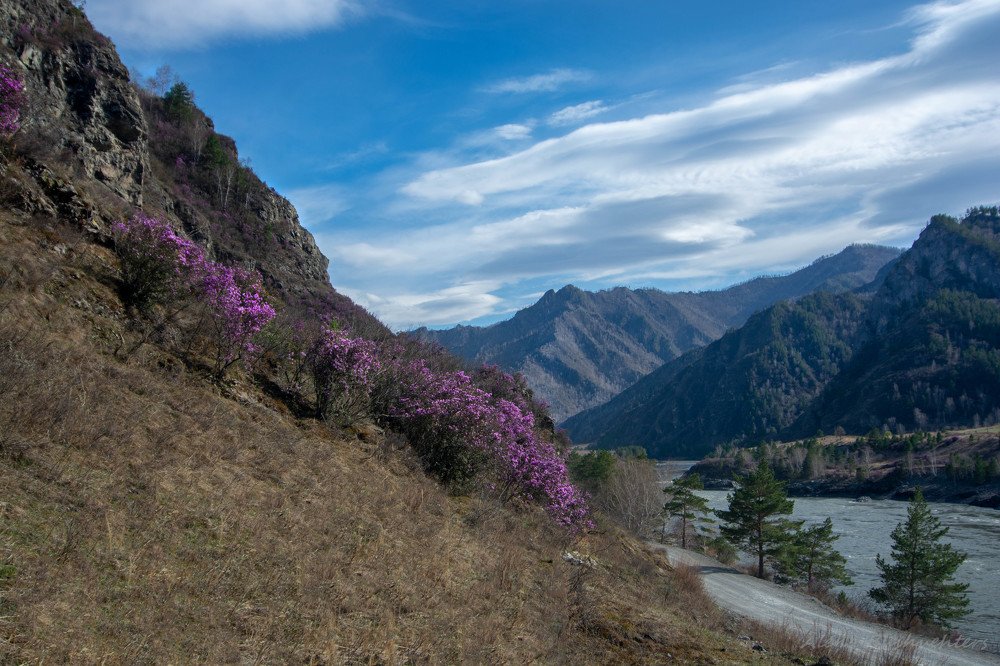 Photograph by Алёна Бушвехтерс