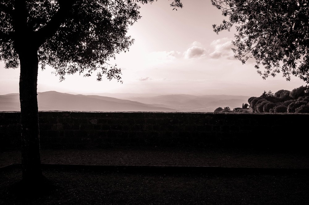 Photograph by Людмила