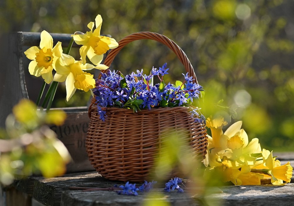 Весенний хоровод.