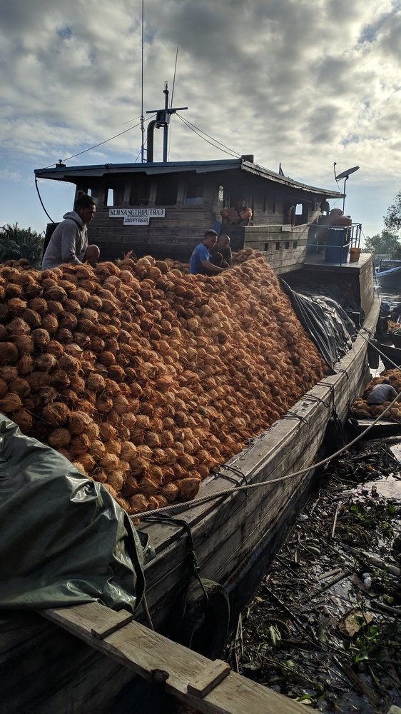 Ship and coconut