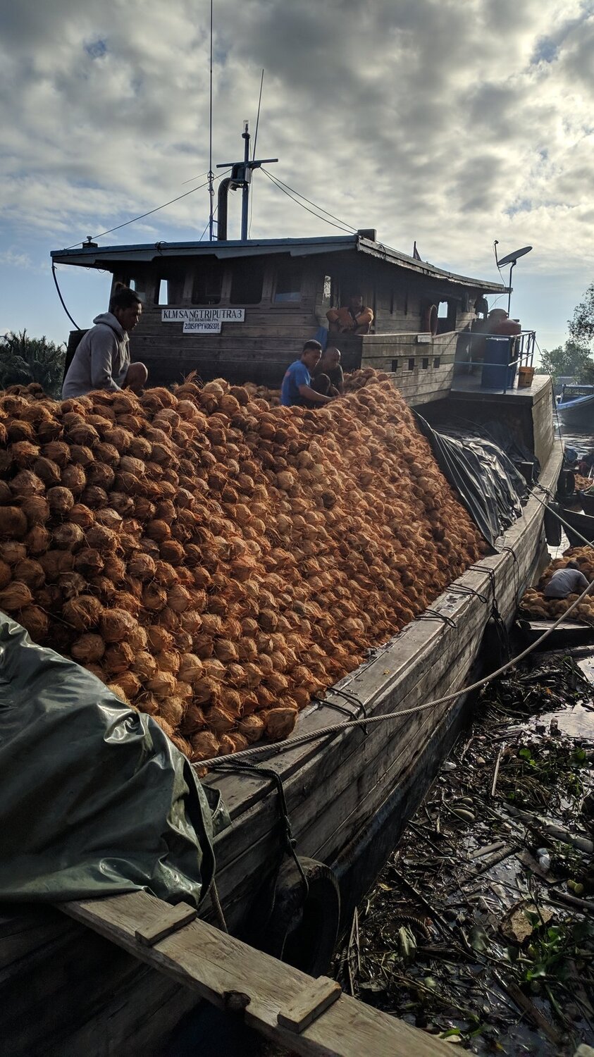 Ship and coconut