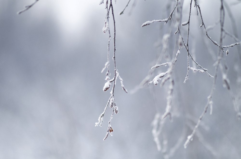 Winter silence