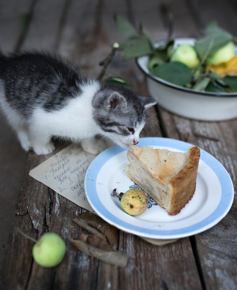 Фотография автора Анна Евгеньева