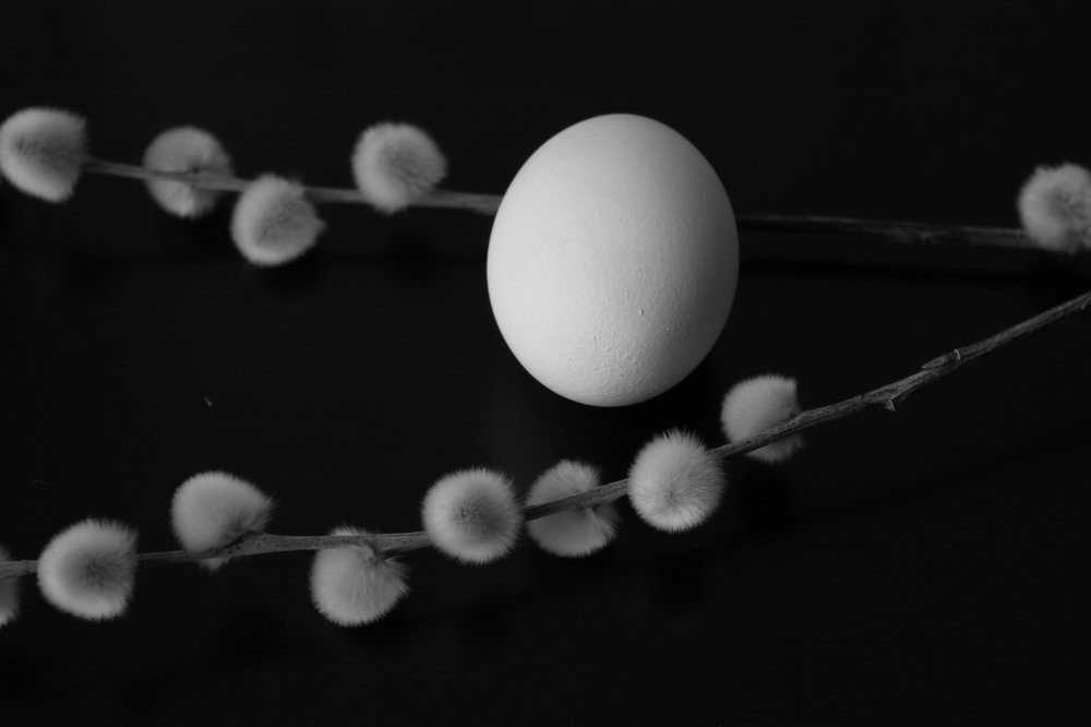 Photograph by Юлия Сластина - Самохвалова