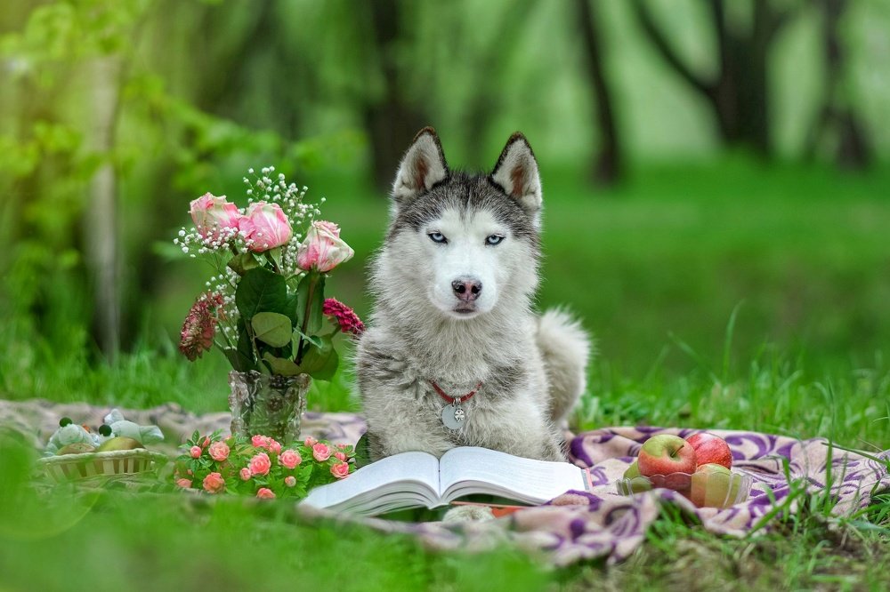 Фотография автора Мария Яропольская