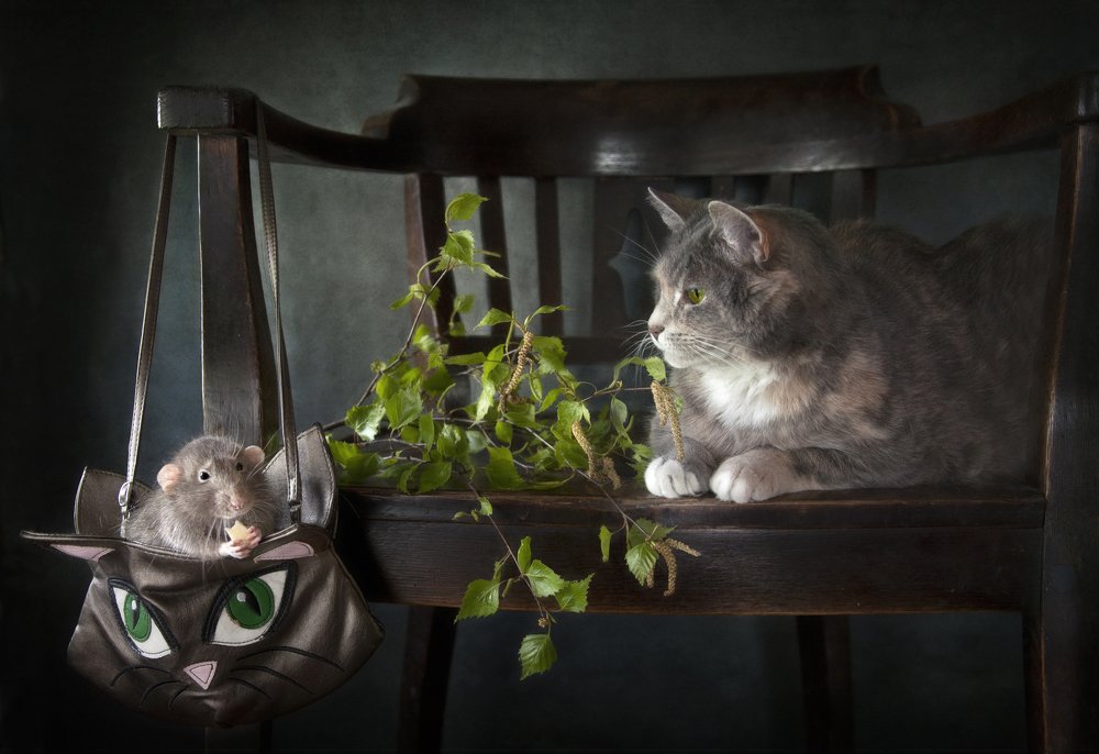 Завтрак на двоих