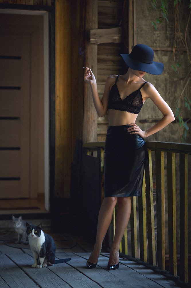 Три кошечки...