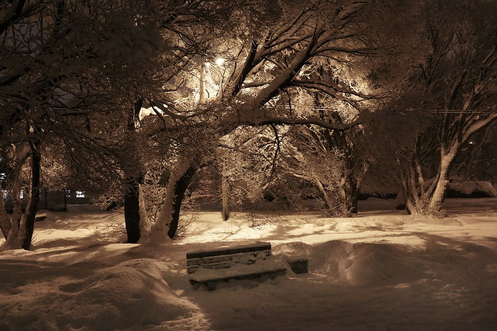 Зимний парк