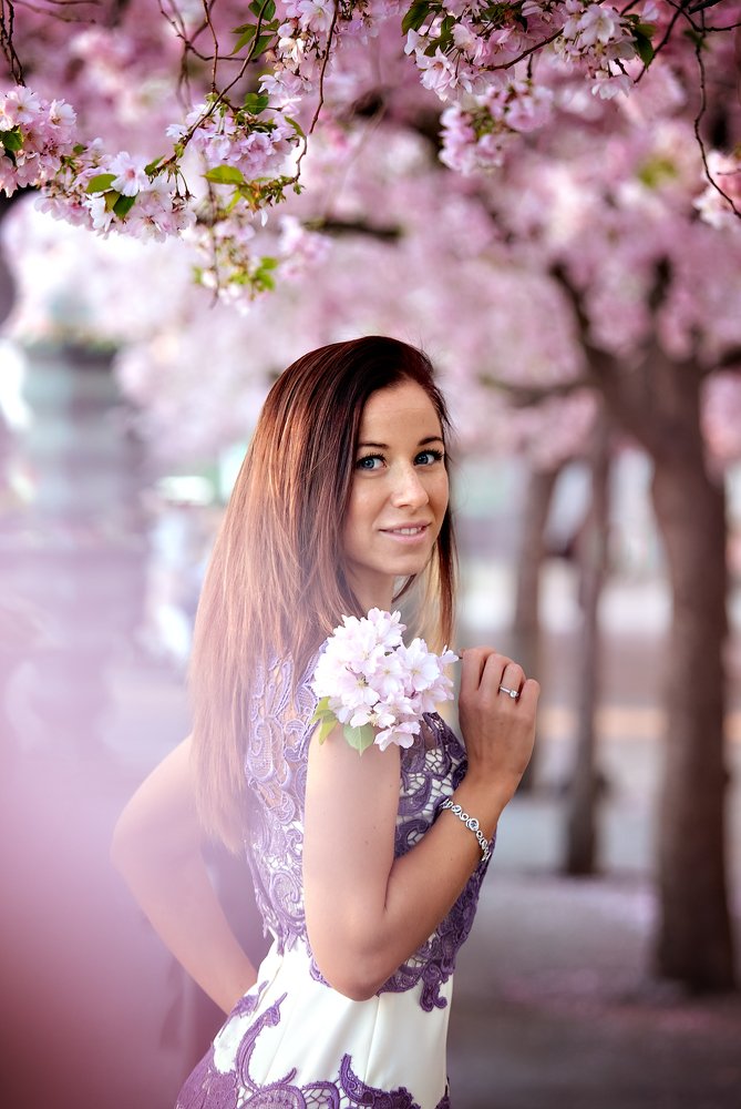 Cherry blossoms wonderland